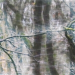 Dromen in Otterlo, 32 x 75 cm, prijs 375 euro